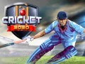 Oyun Cricket 2020