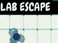 Oyun Lab Escape