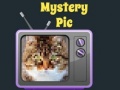 Oyun Mystery Pic