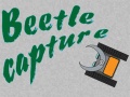 Oyun Beetle Capture