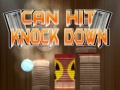 Oyun Can Hit Knock down