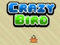Oyun Crazy Bird