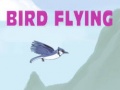Oyun Bird Flying