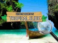 Oyun Hidden Objects: Tropical Slide