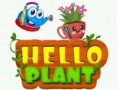 Oyun Hello Plant 