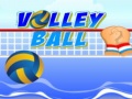 Oyun Volley ball