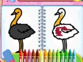 Oyun Coloring Birds Game
