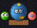 Oyun Where Is My Ruffled Bird