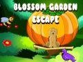Oyun Blossom Garden Escape