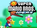 Oyun Super Wario Riders