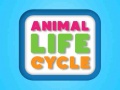 Oyun Animal Life Cycle