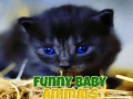 Oyun Funny Baby Animals