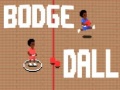 Oyun Bodge Dall