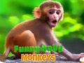 Oyun Funny Baby Monkey