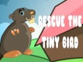 Oyun Rescue The Tiny Bird