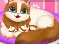 Oyun Cute Kitty Pregnant