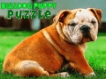 Oyun Bulldog Puppy Puzzle