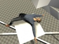 Oyun Ragdoll Test