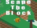 Oyun Scape The Block