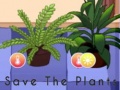 Oyun Save the Plants