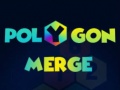 Oyun Polygon Merge