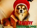 Oyun Funny Christmas Dogs