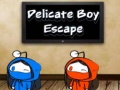 Oyun Delicate Boy Escape