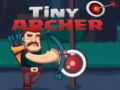 Oyun Tiny Archer