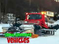 Oyun Snow Groomer Vehicles