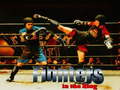Oyun Fighters in the Ring