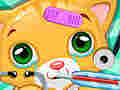 Oyun Doctor Pets
