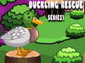 Oyun Duckling Rescue Series1