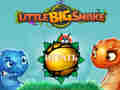 Oyun Little Big Snake