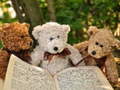 Oyun Cuddly Three Teddy Jigsaw