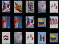 Oyun Memorize the flags