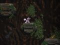 Oyun Cave Descent