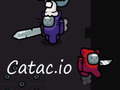 Oyun Catac.io