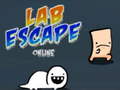 Oyun Lab Escape Online