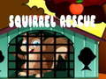 Oyun Squirrel Rescue