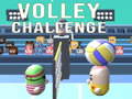 Oyun Volley Challenge