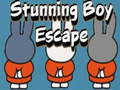 Oyun Stunning Boy Escape