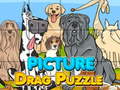 Oyun Picture Drag Puzzle