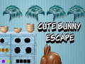Oyun Cute Bunny Escape