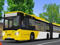Oyun Public Transport Simulator 2021