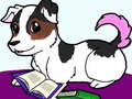 Oyun Pets Slide