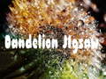 Oyun Dandelion Jigsaw