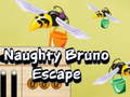 Oyun Naughty Bruno Escape