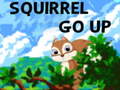 Oyun Squirrel Go Up
