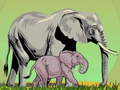 Oyun Wild Animals and Their Babies
