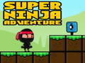 Oyun Super Adventure Ninja